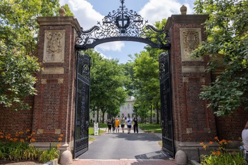Harvard Accepts 3.59% Of Applicants, Highest Rate In 4 Years