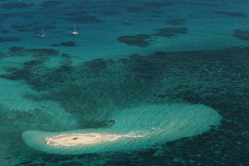 The Great Barrier Reef Just Got Closer For Some North Americans