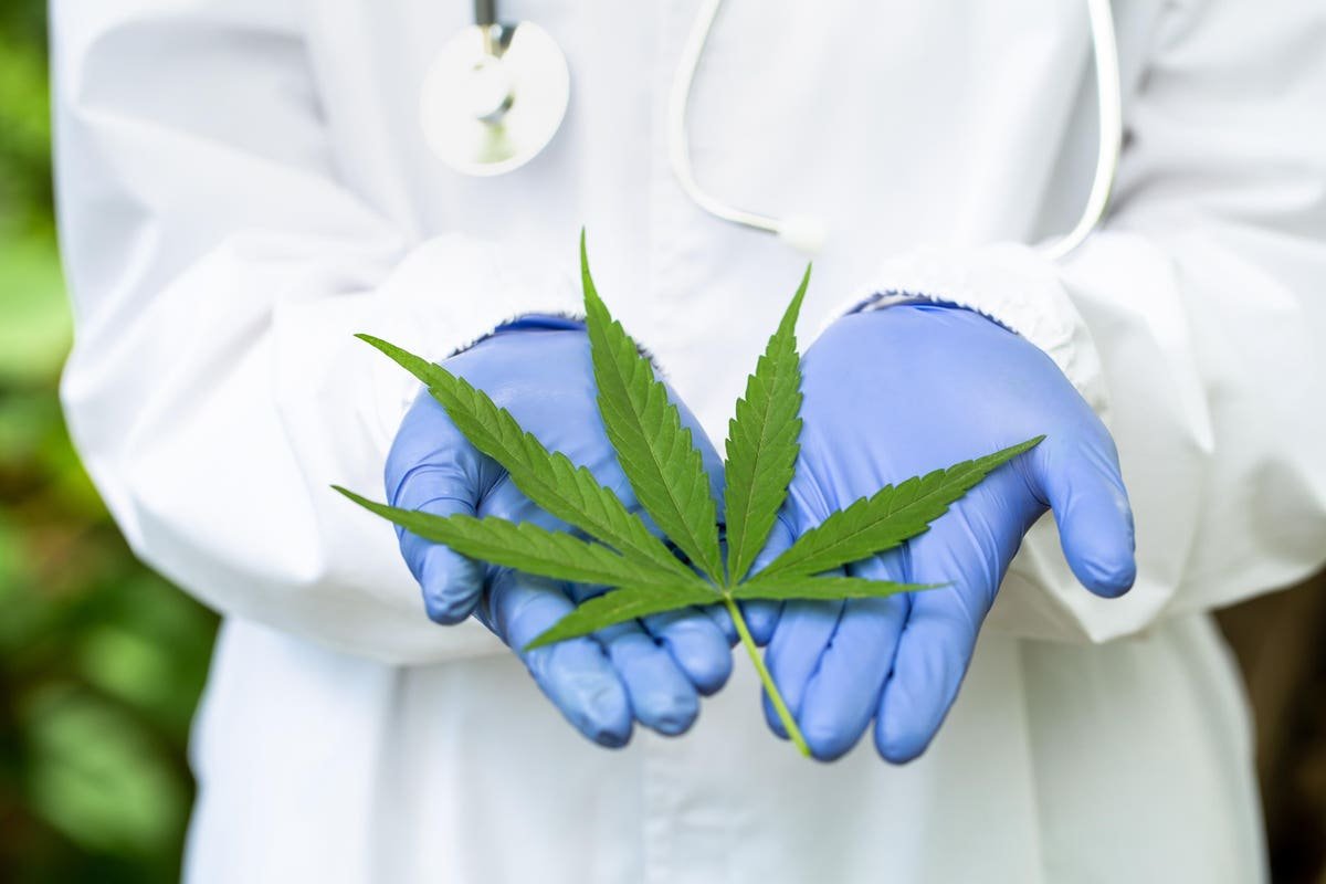 New Report Details Salaries In The Legal Marijuana Industry