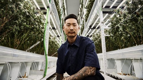 Inside Stiiizy, The World’s Best-Selling Weed Brand