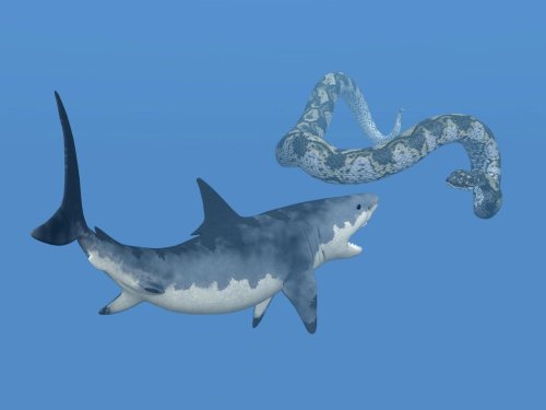 Meet The Largest Snake Ever — A Prehistoric 2,500-Pound Serpent With A 16-Inch Head And An Unexpected Diet