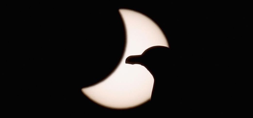 Solar Eclipse: Exactly What You’ll See From The U.K. And 29 European Cities This Thursday