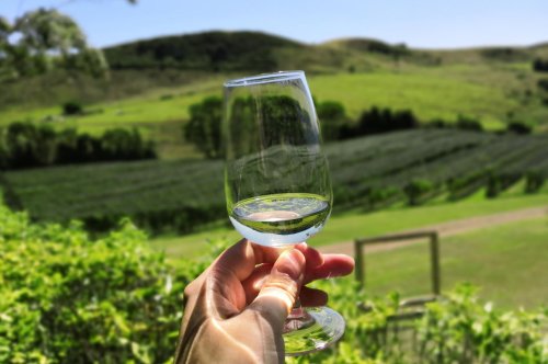 The Best New Zealand Sauvignon Blanc Wines According To The Top Wine Competitions