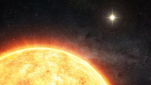 Was Our Sun A Twin? If So Then ‘Planet 9’ Could Be One Of Many Hidden Planets In Our Solar System