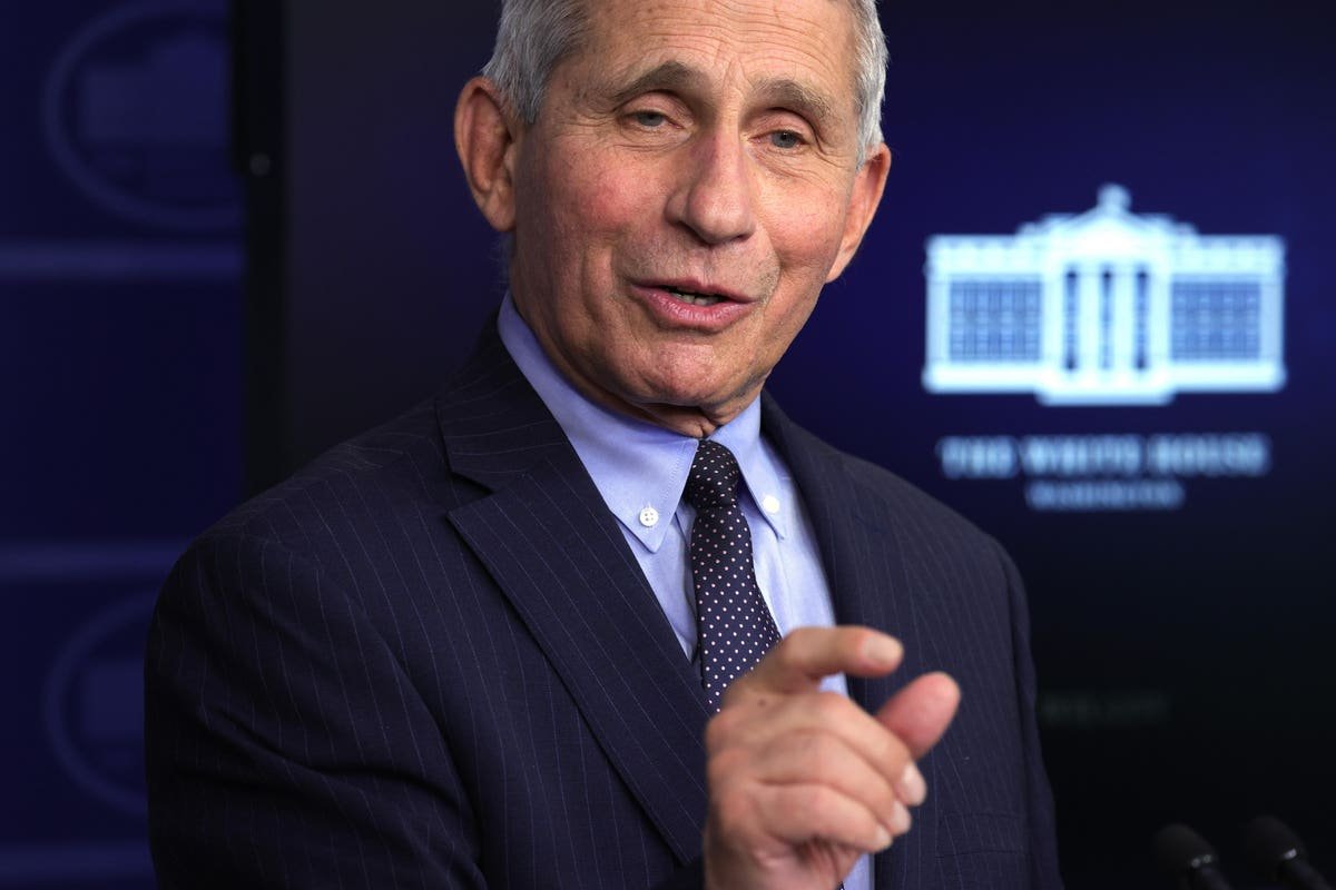 Fauci: Getting Vaccinated Is ‘Not A Free Pass’ To Travel