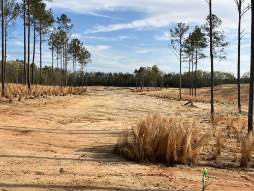 Broomsedge Sweeps Golf Into Underserved Area Of The Carolina Sandhills