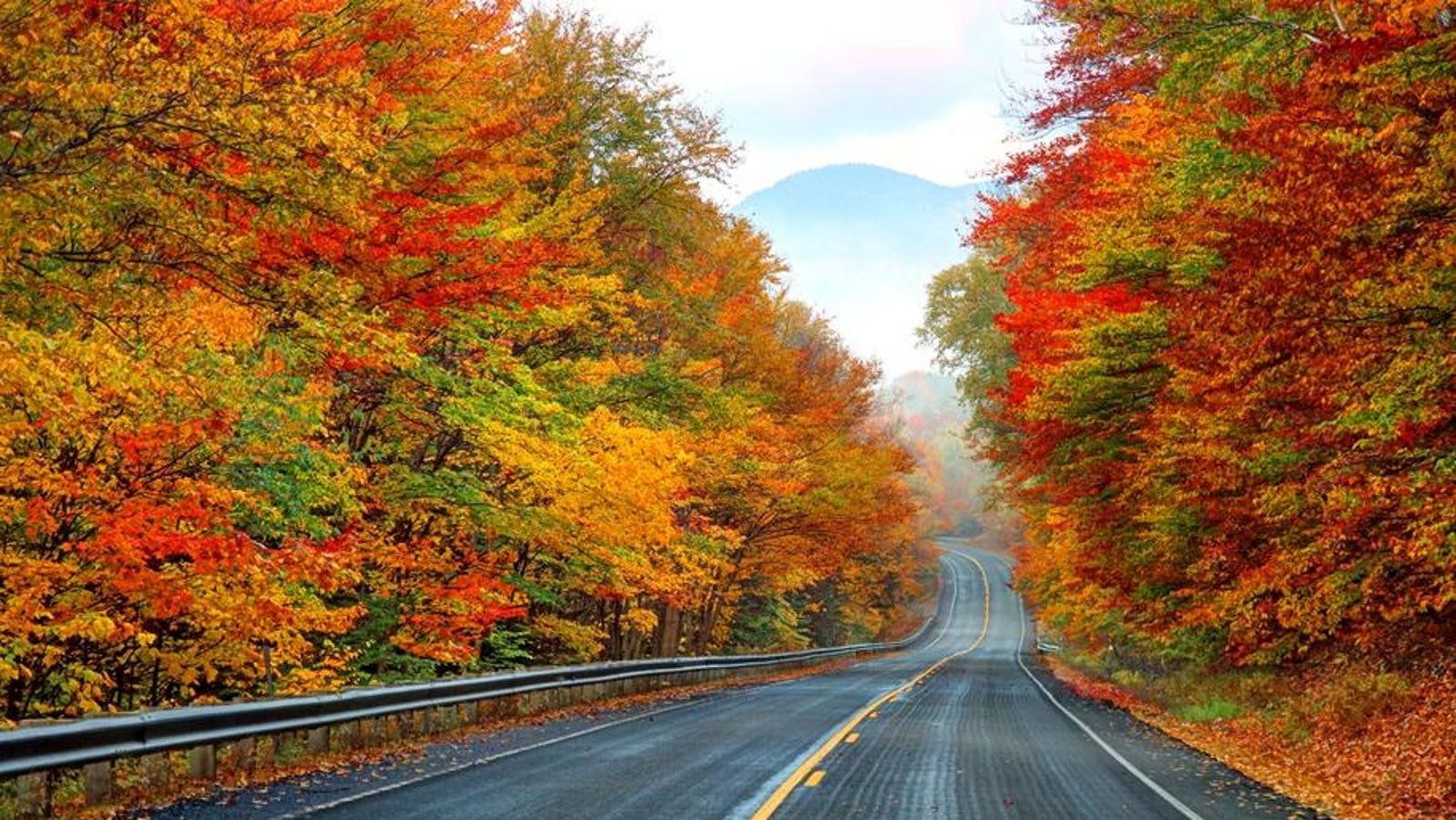 5 Scenic Road Trips To Take In North America This Fall