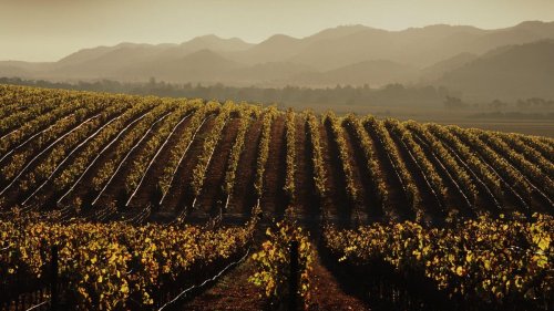 This Small Town Along The Central California Coast Is A Hidden Gem For Wine Lovers