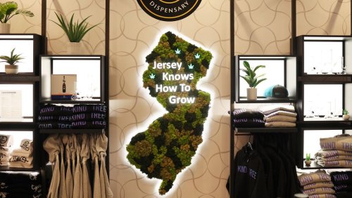 New Jersey’s Cannabis Dispensaries Bring In $24 Million During First Month