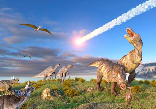Climate Change Killed The Dinosaurs. ‘Drastic Global Winter’ After Asteroid Strike, Say Scientists