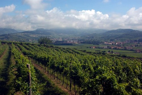 The 35 Best Producers Of Amarone