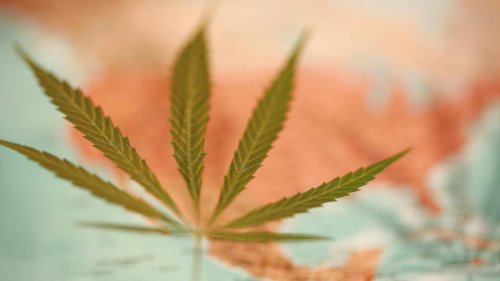 Your Guide To Cannabis Legalization By State