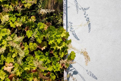 Biophilic Living Might Be Quietly Rewiring Our Brains