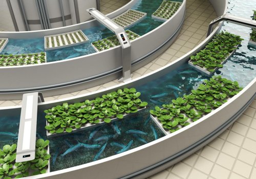 Aquaponics Presents A New Way To Grow Sustainable Fish And Veggies
