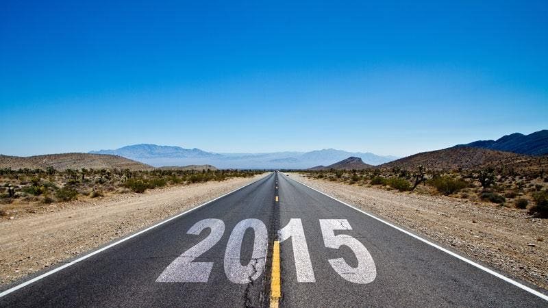 2015: The Year Ahead cover image