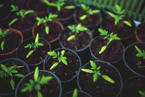 The Five Biggest Startup Opportunities In Agtech Today