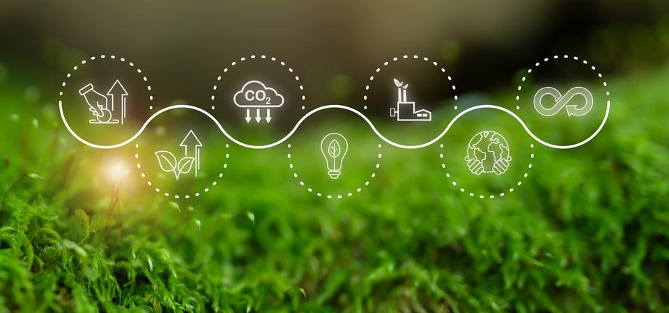 Blockchain Is Key To Improving Carbon Credit Markets