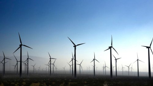 Investing In Renewables Sector — A Look At The Largest Renewable Energy Companies
