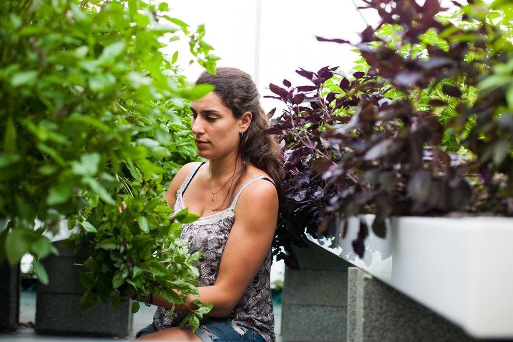 Women in Agriculture cover image