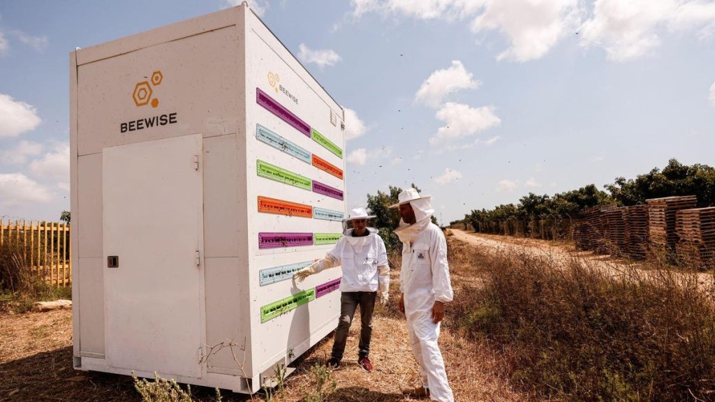 Sustainability  - cover