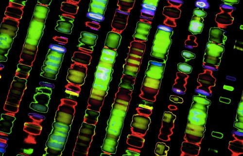 Your Next Prescription Could Be A Genome Sequence