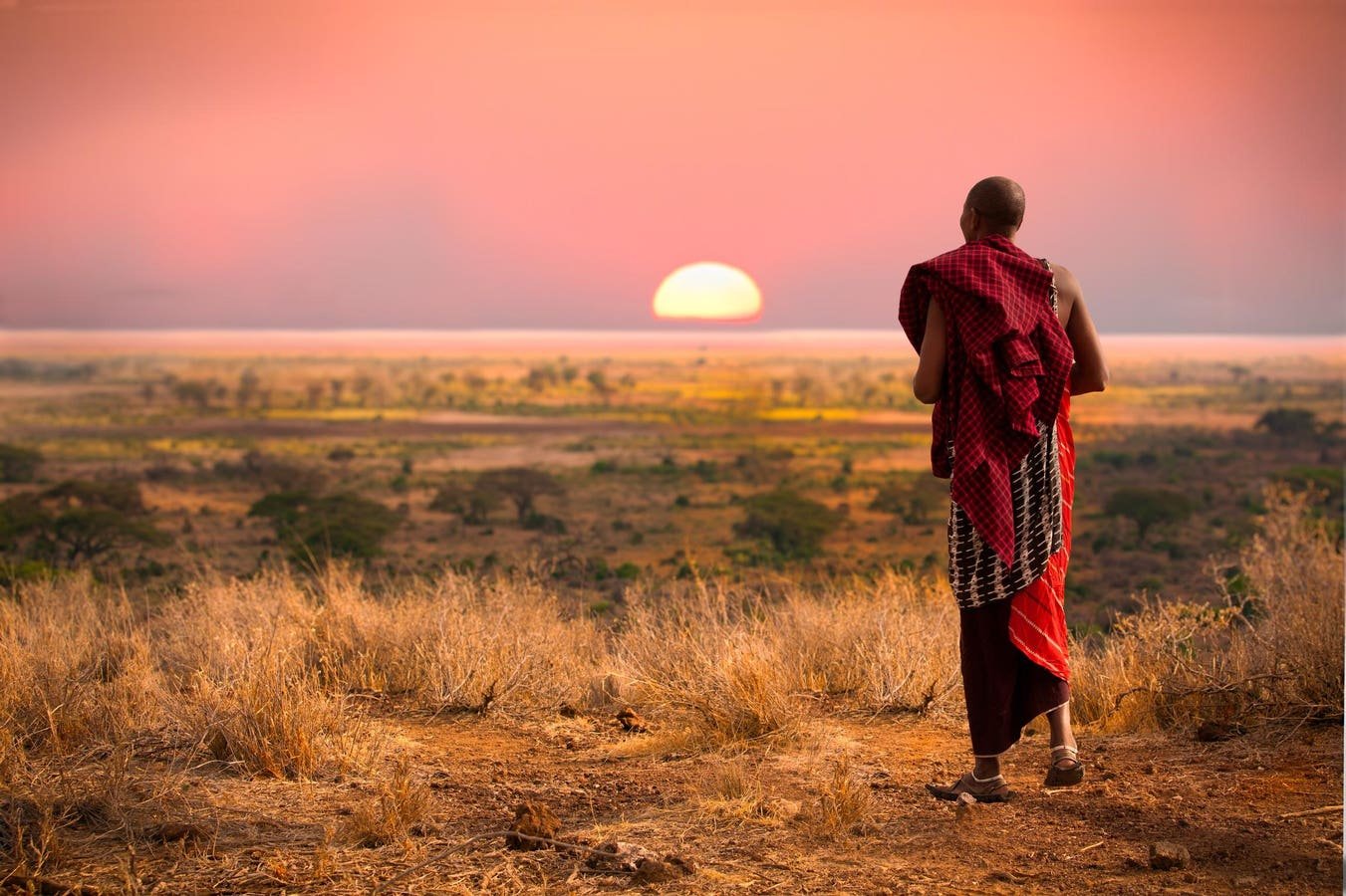 Humans Are In Decline And Doomed For Extinction, New Book Argues - cover