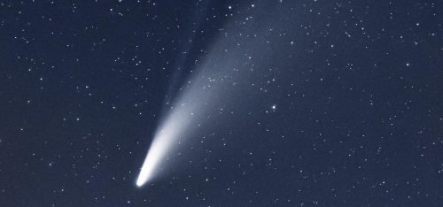 Rare Views Of Comet NEOWISE ‘Completely Photobombed’ By Elon Musk’s SpaceX Starlink Satellites