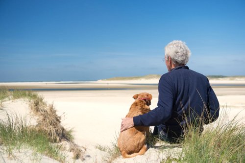 The Answer To Anti-Aging Therapies May Lie In Your Aging Dog