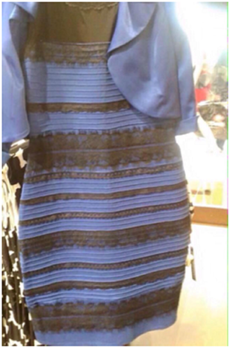Rock Star Psychologist Steven Pinker Explains Why #TheDress Looked White, Not Blue