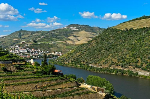 Portugal’s Douro Valley Should Be Your Next Wine Trip