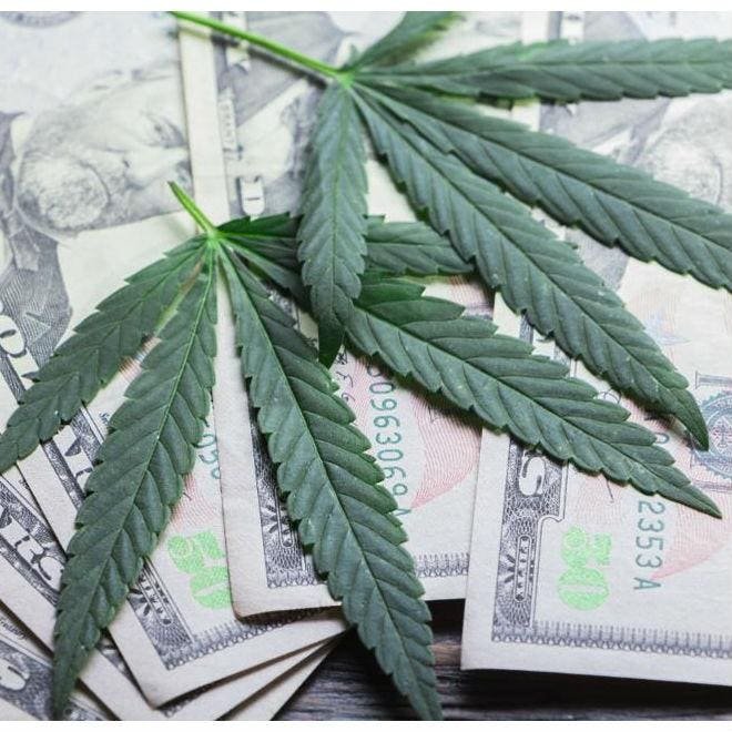 Council Post: Marijuana Millions: Raising Capital For Your Cannabis Business