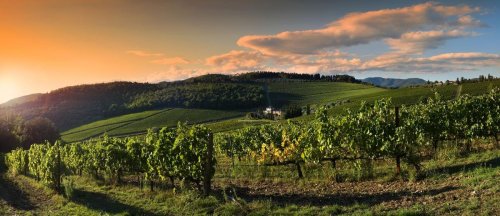 Chianti Region Debuts New Way to Classify Wine
