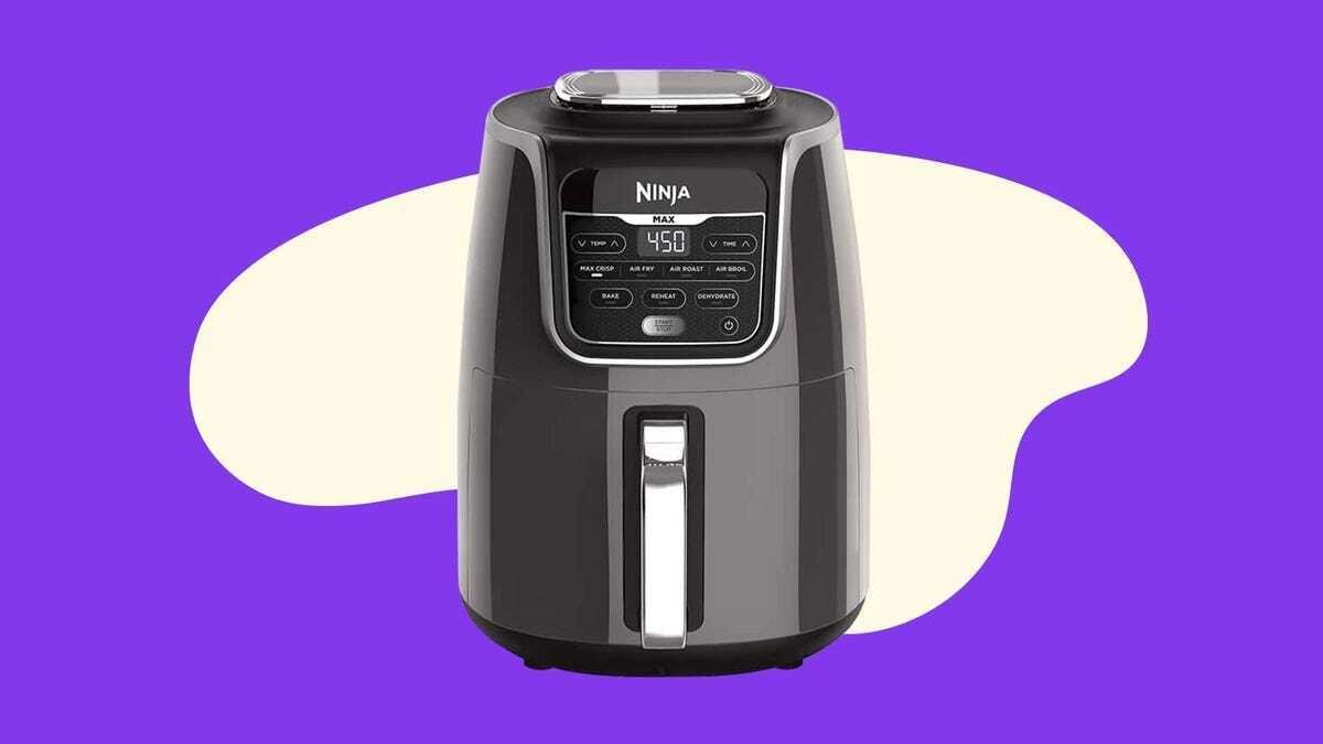 Cyber Monday Air Fryer Deals: Save On Two Of Our Tested Picks