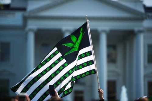 Why Markets Should Be Skeptical Of Federal Cannabis Reform