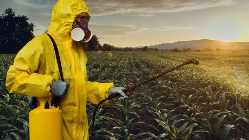 ‘Irresponsible’ Global Pesticide Regulations Spark Mass Outrage