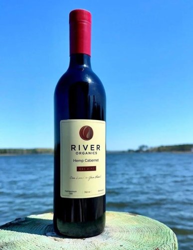 7 Wines Infused With THC Or CBD To Check Out