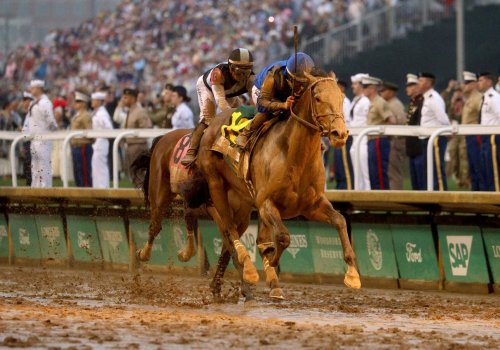 Preakness Stakes 2025: Odds, Best Bets, And Journalism’s Biggest Run