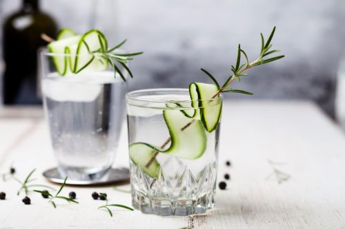 No-Recipe Quarantine Cocktails: Now’s The Time To Explore The World Of Tonic