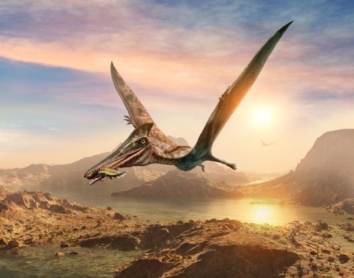 It’s Not A Bird Or A Plane - It’s A New Species Of Flying Dinosaur