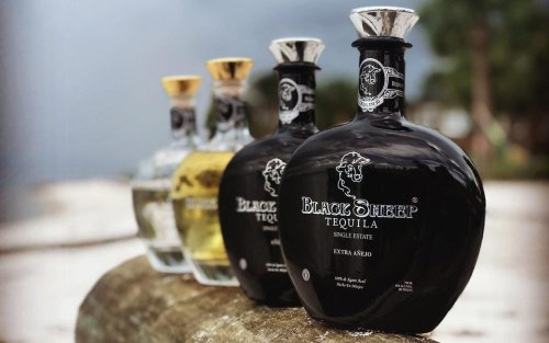 Here Are The Five Best Tequilas In The World Right Now