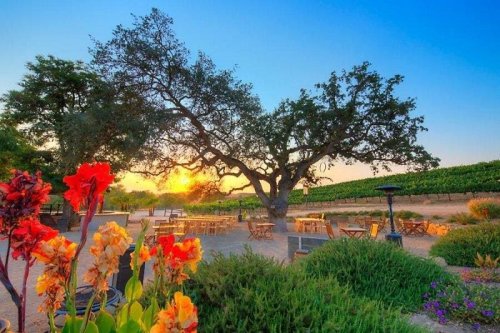 Paso Robles CAB Collective Helps Propel Wine Region To The Top