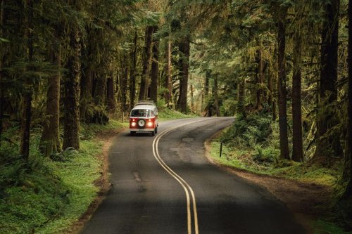 27 Best Road Trips To Take This Summer