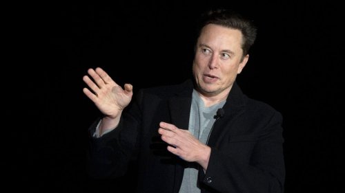 Musk Comments On Having Twins With Top Employee: ‘Doing My Best To Help The Underpopulation Crisis’