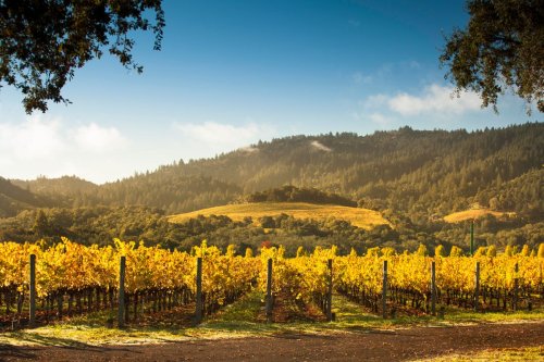 Where to Stay in Sonoma County