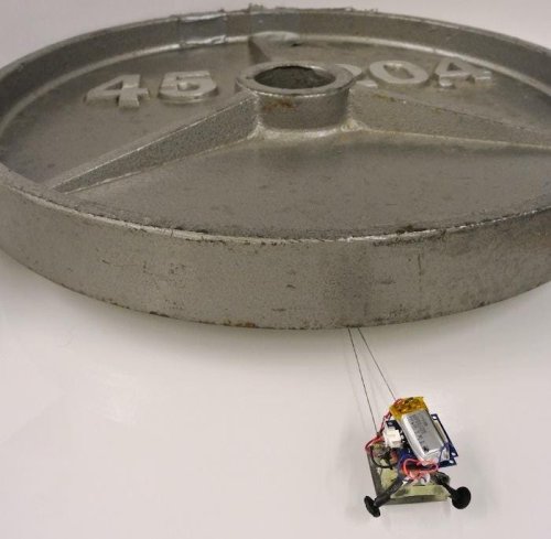 These Micro Robots Can Haul 2,000 Times Their Weight