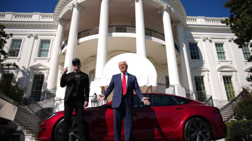 Elon Musk’s Support Of Trump Has Seriously Damaged The Tesla Brand Among Core Customers