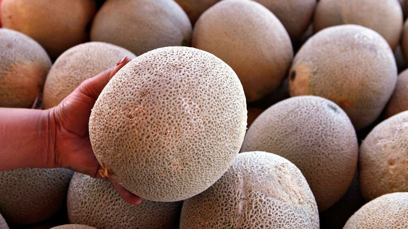 Salmonella Outbreak Linked To Cantaloupes—Here’s What To Know As CDC Issues Warning