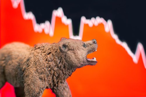 5 Dividend Stocks That Are Bucking The Bear Market