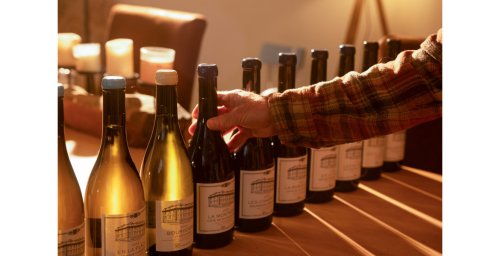 Domaine Camille Thiriet : révéler l’âme des terroirs méconnus de Bourgogne