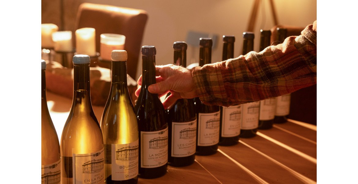 Domaine Camille Thiriet : révéler l’âme des terroirs méconnus de Bourgogne